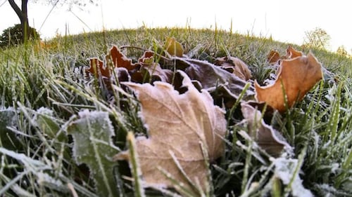 Near-freezing temperatures expected in Toronto. Here’s how cold it will get