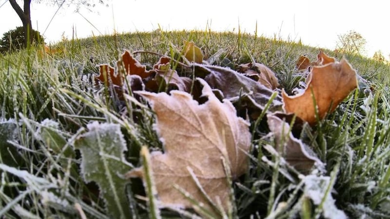 Near-freezing temperatures expected in Toronto. Here’s how cold it will get