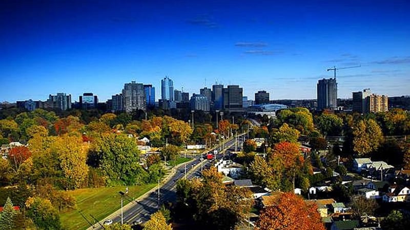 London offers funding to help property owners preserve mature trees