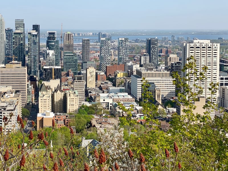 Sunshine on the way for Montreal this weekend; frost advisory in effect