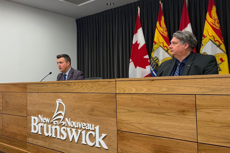 N.B. Liberals table legislation to create mental health advocate role