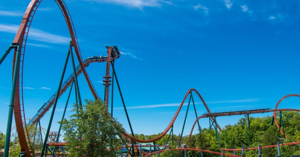 Teen Claims Expensive Camera Stolen at Canada's Wonderland