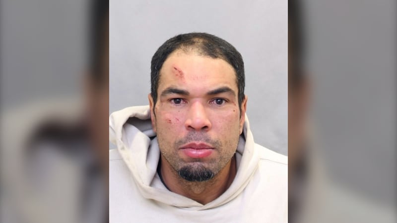 Toronto police allege repeat offender stole nearly $20,000 in merchandise