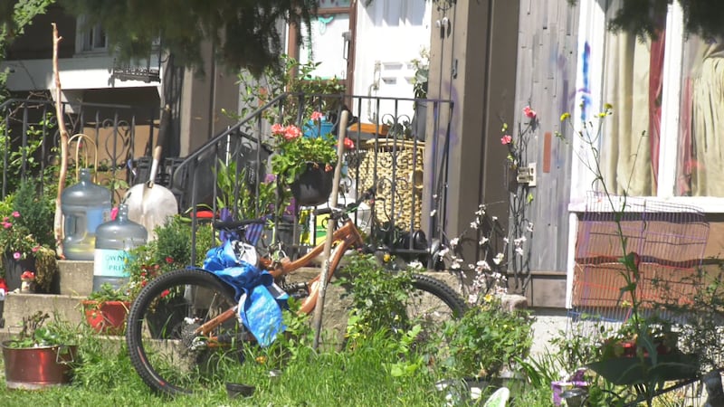 Dog bites, suspected criminal activity: Sherwood Park residents raise concerns of problem property