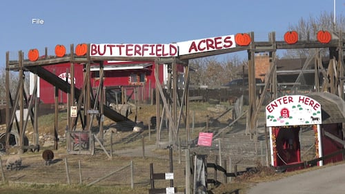 Calgary petting farm hit with outbreak of ‘diarrhea-causing parasite’