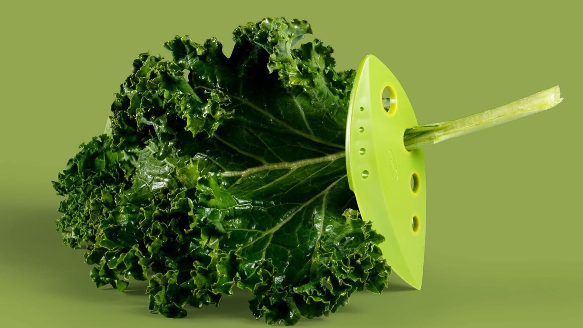 A piece of kale in a Chef'n herb stripper.