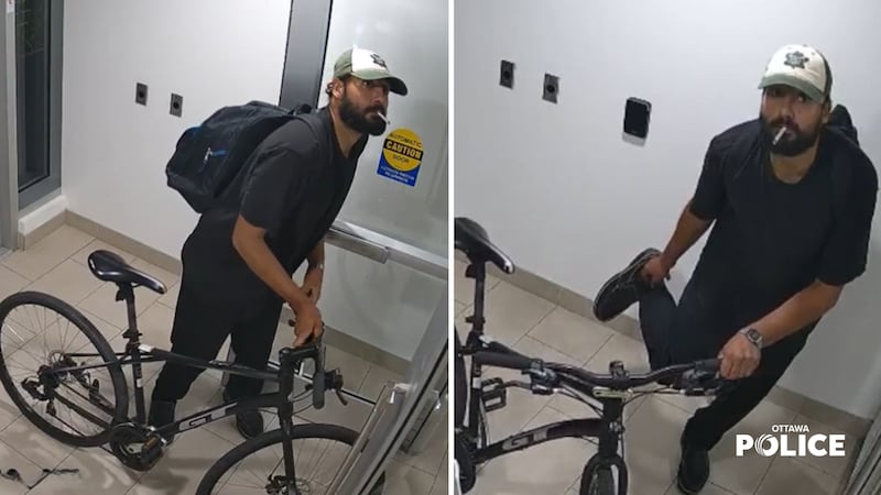 Ottawa police looking to identify suspect in Sandy Hill break-and-enters