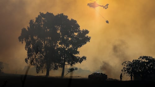 Arsonists tied flaming rags to cats to spark wildfires in southern Italy, officials say
