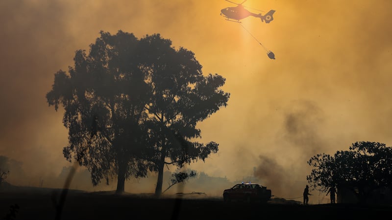 Arsonists tied flaming rags to cats to spark wildfires in southern Italy, officials say