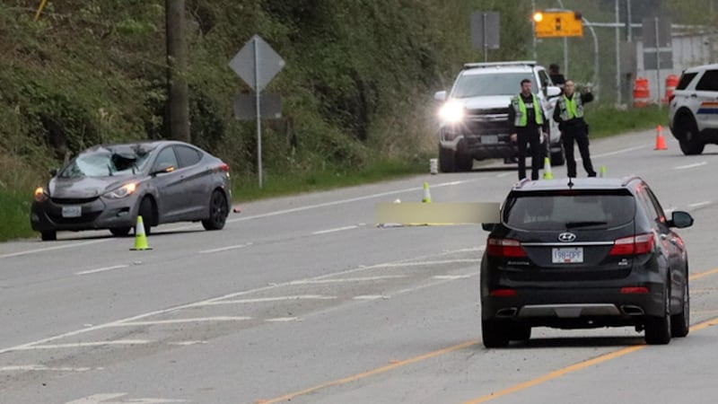 Man struck and killed ‘trying to corral dogs’ on B.C. highway