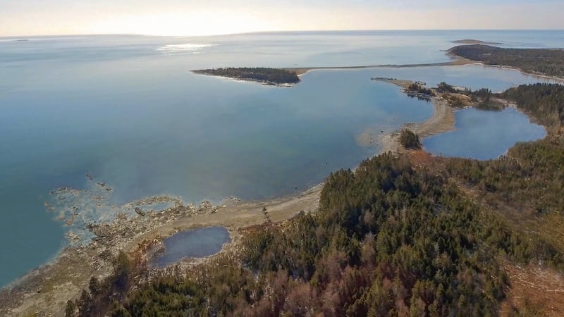 Nova Scotia's Whale Sanctuary Project to break ground but Crown lease still unsigned