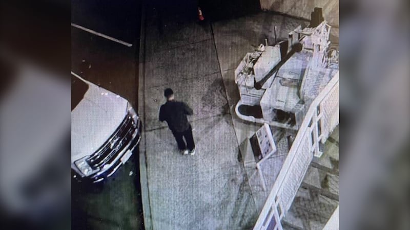 Shotgun stolen from vehicle near Cameron Road in Nanaimo, police asking for tips