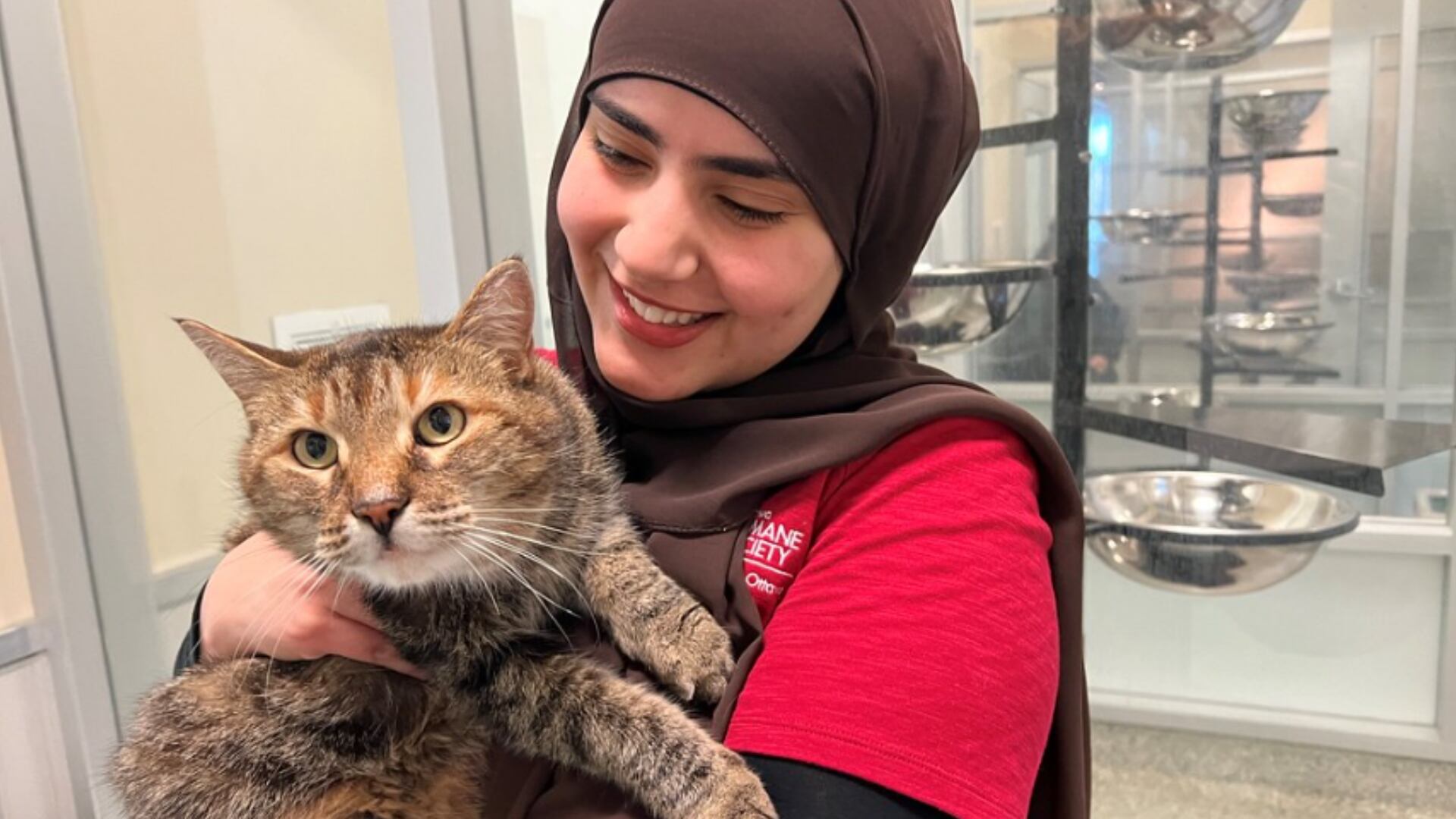 An Ottawa Humane Society staff member holds a cat in her arms.
