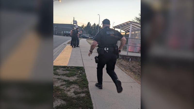 Man charged after ‘acting erratically,’ following woman with knife in Abbotsford: police
