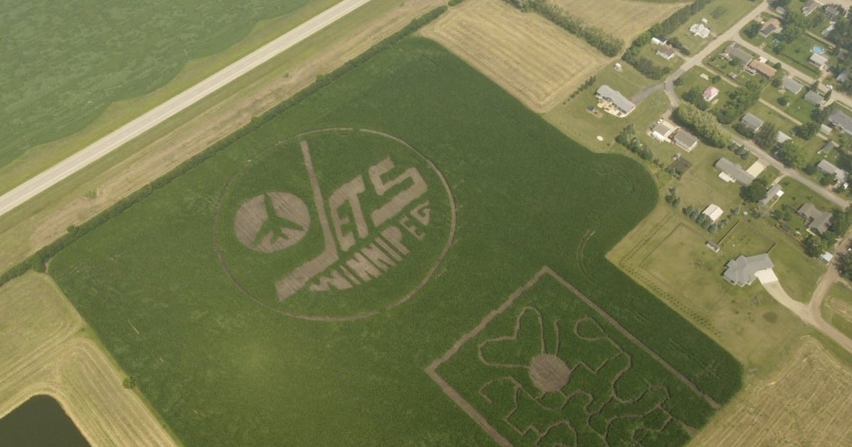 Winnipeg Jets logo corn maze sprouts in southwestern Manitoba