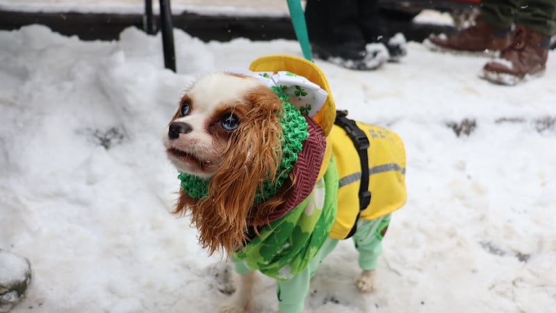 Montreal's 2026 St. Patrick's Day parade