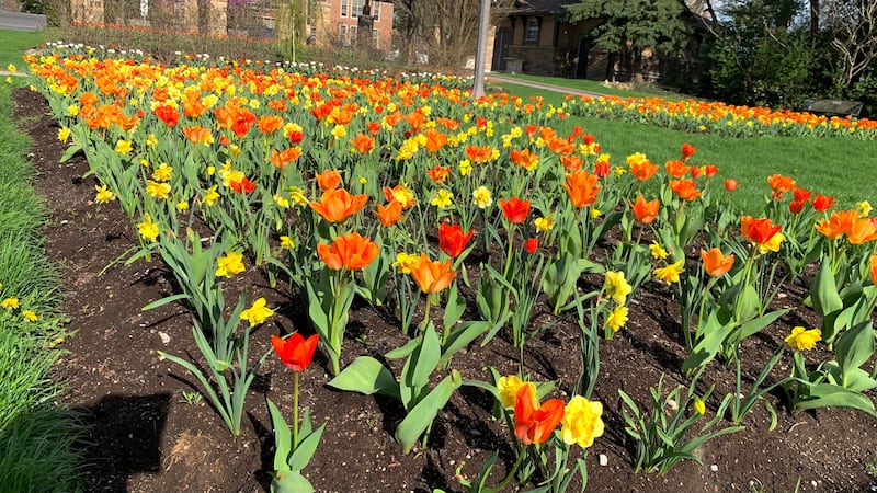 Temperatures set to climb as spring warmth moves in