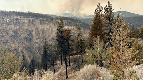 Wildfire near Summerland, B.C., that forced thousands to evacuate being held