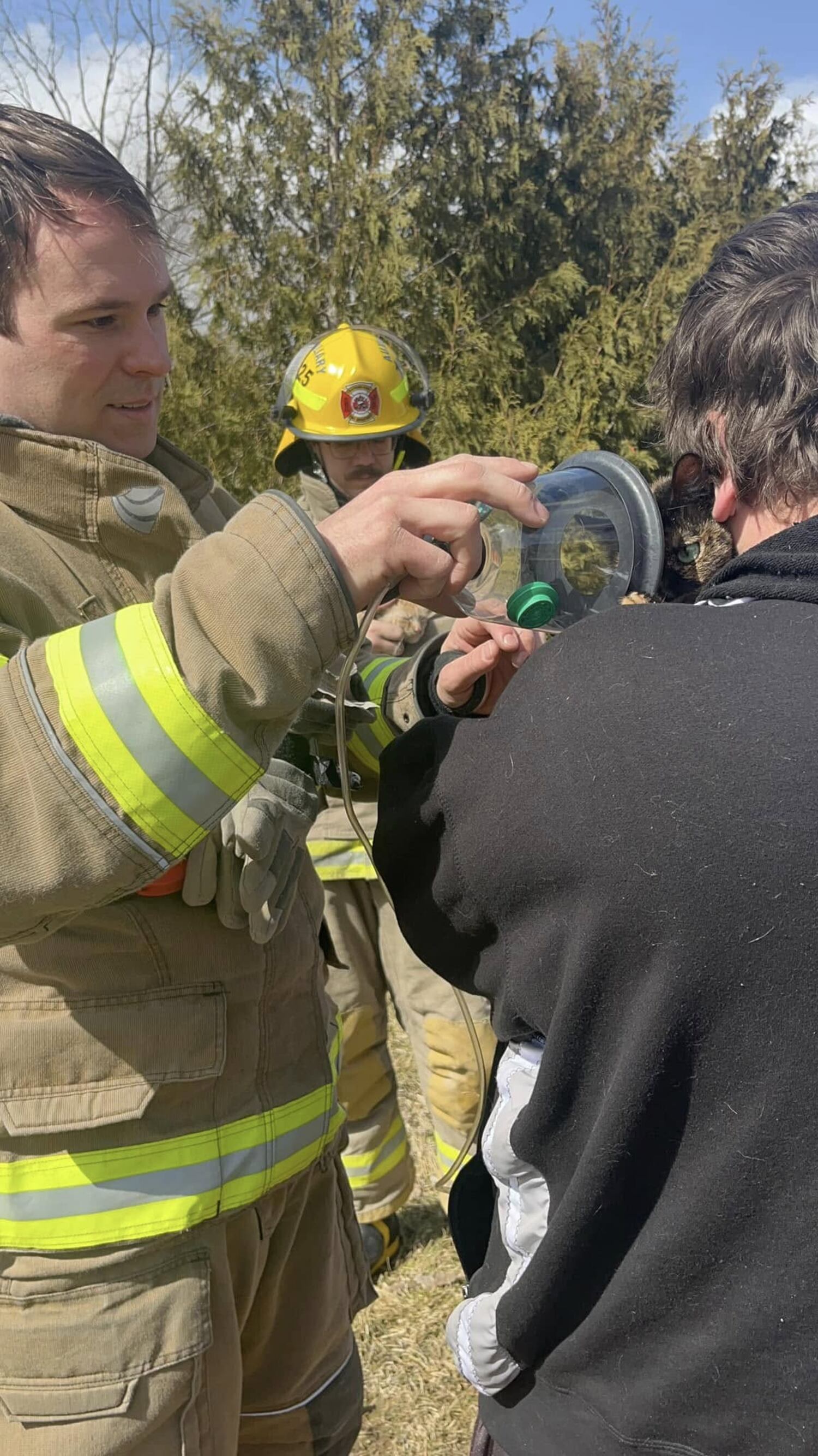 Firefighters rescue cats in house fire – CTVNews