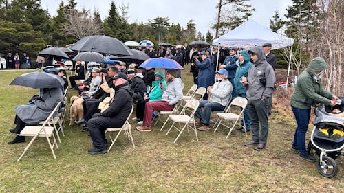 A crowd sits holding umbrellas.