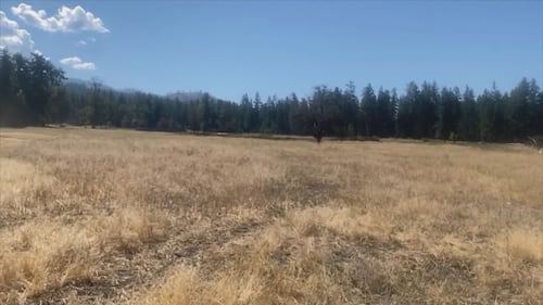 ‘Not enough water’: Farmers worried restrictions in B.C. region will threaten crops