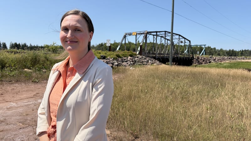 Megan Mitton only person running for leadership of New Brunswick Green Party