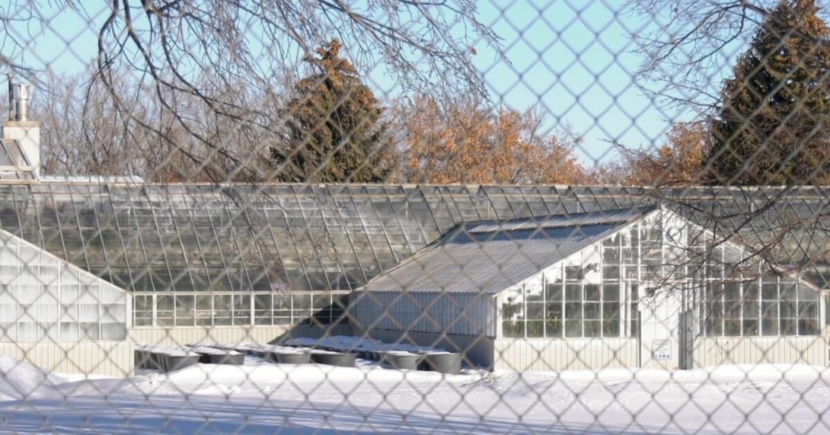 Saskatoon city greenhouses on the verge of being condemned: report
