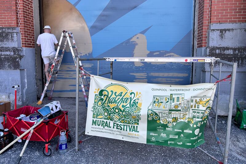 Colourful creations: Halifax Mural Festival brightens up the city