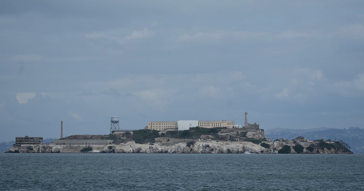 Male coyote swam over 3 km to Alcatraz Island, twice as far as biologists had expected
