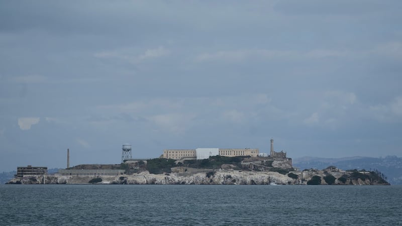 Male coyote swam over 3 km to Alcatraz Island, twice as far as biologists had expected