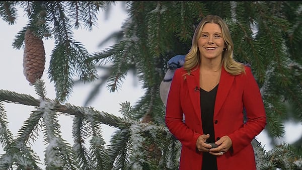 ‘Cold Arctic air floods in’: Cold spell ahead for the London region
