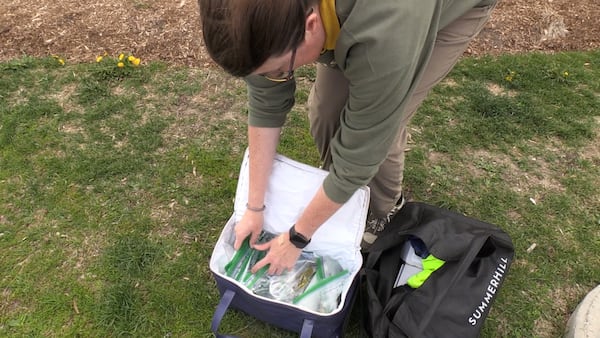 Bird advocates concerned about fatal window collisions in Kitchener