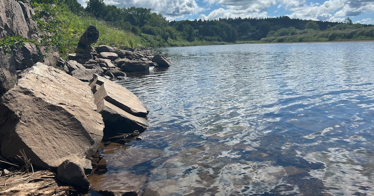 ‘It’s hitting harder this year’: Abnormally dry conditions persist in New Brunswick