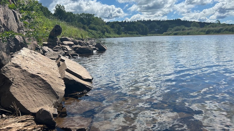 ‘It’s hitting harder this year’: Abnormally dry conditions persist in New Brunswick