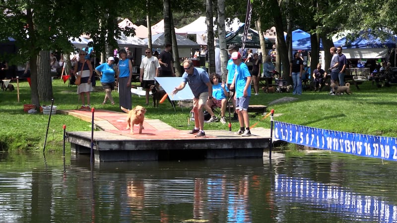 Pawlooza festival draws thousands of people and dogs to Plunkett Estate
