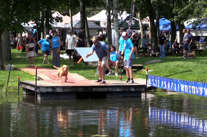Pawlooza festival draws thousands of people and dogs to Plunkett Estate