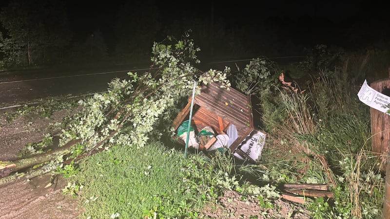 Potential tornado reported near Kitchener, Ont.