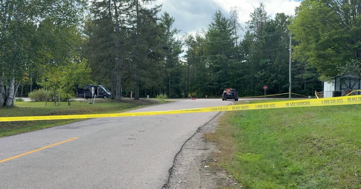 Increased police presence in Deep River, Ont. as stabbing investigation continues - CTV News