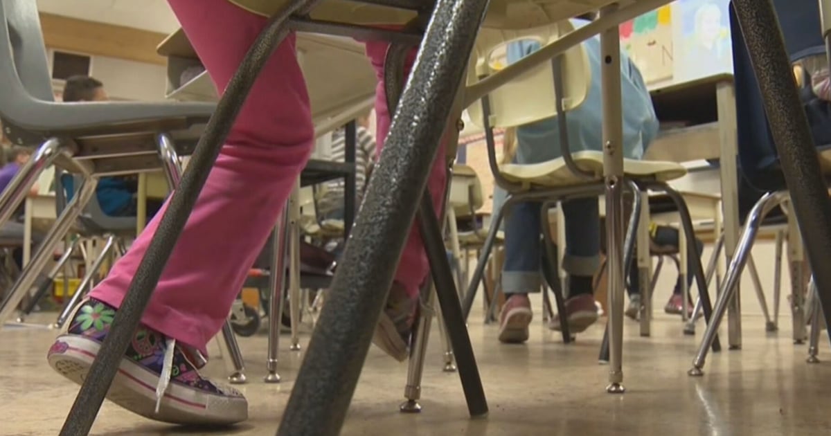 Majority wants private school funding scrapped, survey finds