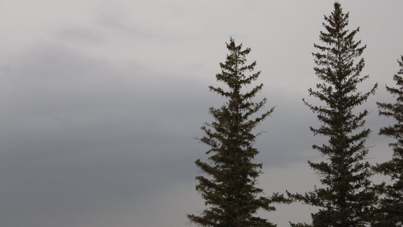 Thunderstorm watch issued for southwest Saskatchewan