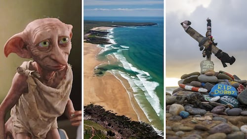 US$580 million undersea power cable rerouted to spare Dobby the house-elf’s beachside ‘grave’