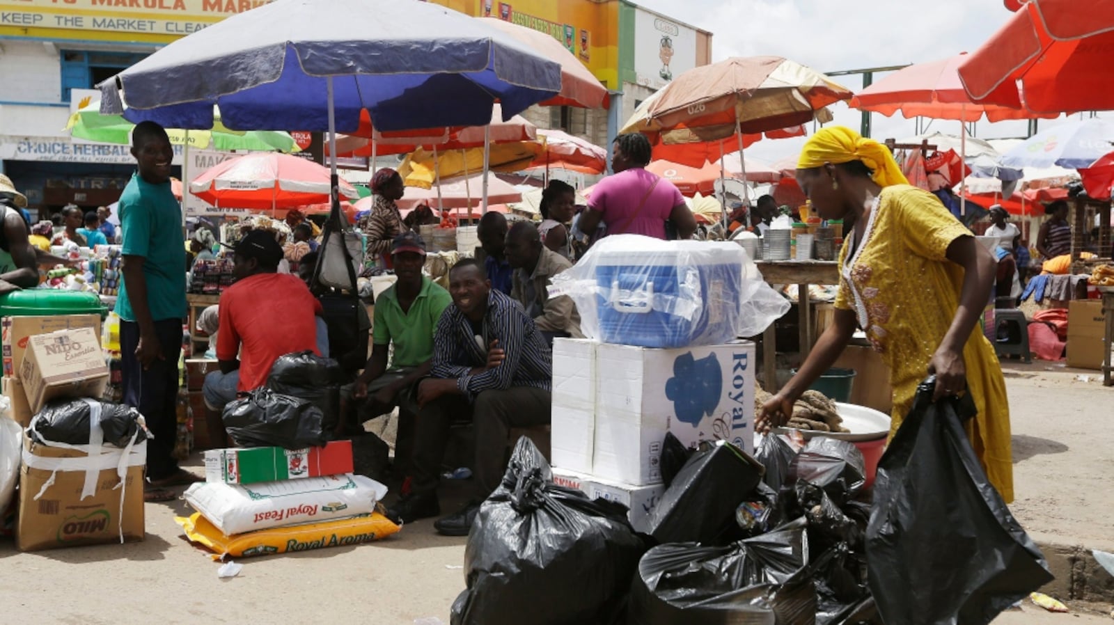 Defocation Diplomats fretted about Canadian funding for Ghana outdoor defecation ...
