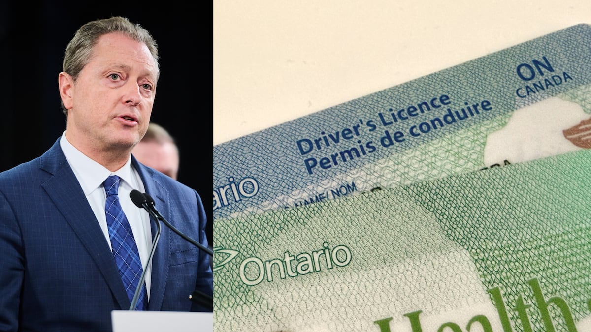 Buzzing Box Drawing ‘You Can See Everything’: Canadian Nathan Fielder's doc is a box-office hit