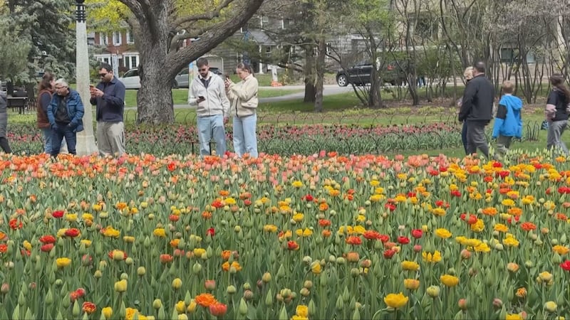 Things to do in Ottawa: May 8-10