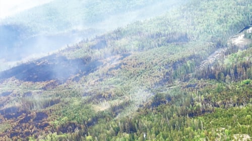 Rainfall helps firefighters supress Timmins 9 forest fire