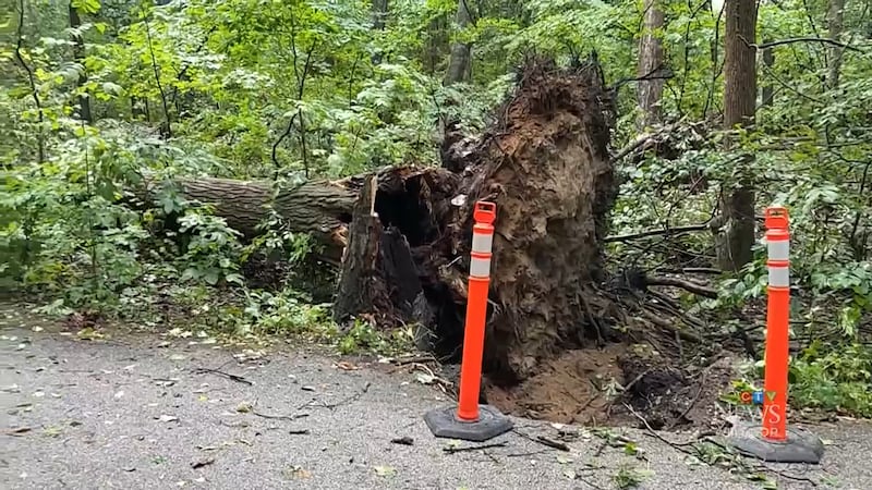 Wheatley Provincial Park closed due to storm damage