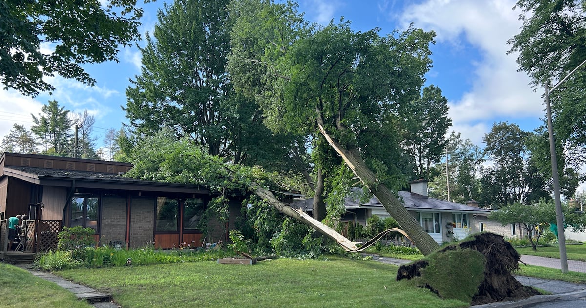 Ottawa residents cleaning up after latest summer storm knocks out power, brings down trees
