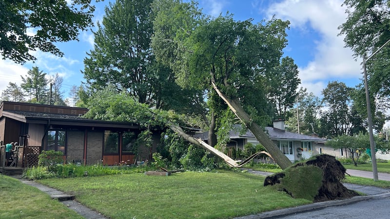 Summer storm brings 22 mm of rain, 100 km/h wind gusts to Ottawa
