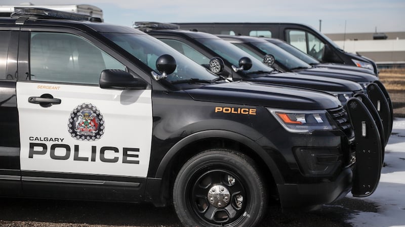 Pedestrians hit by vehicle in Sunridge suffer critical injuries: Calgary police