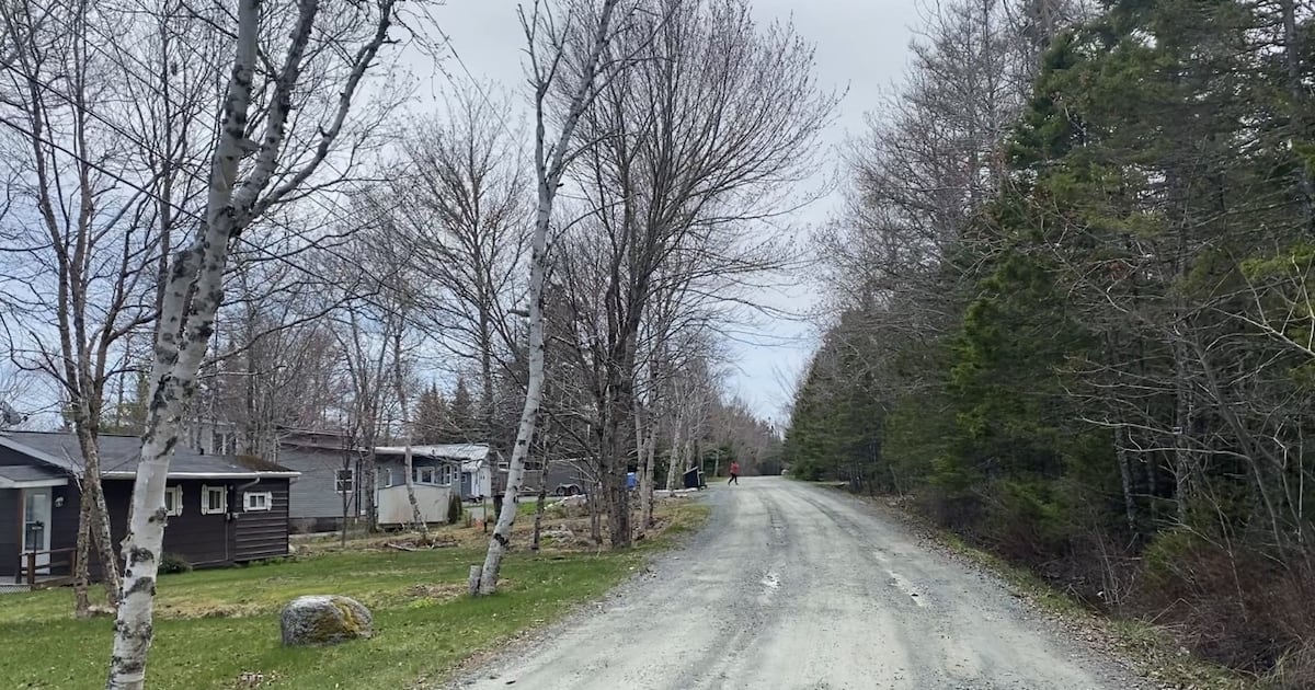 Alerts about man with machete prompt some confusion in Gaetz Brook, N.S.